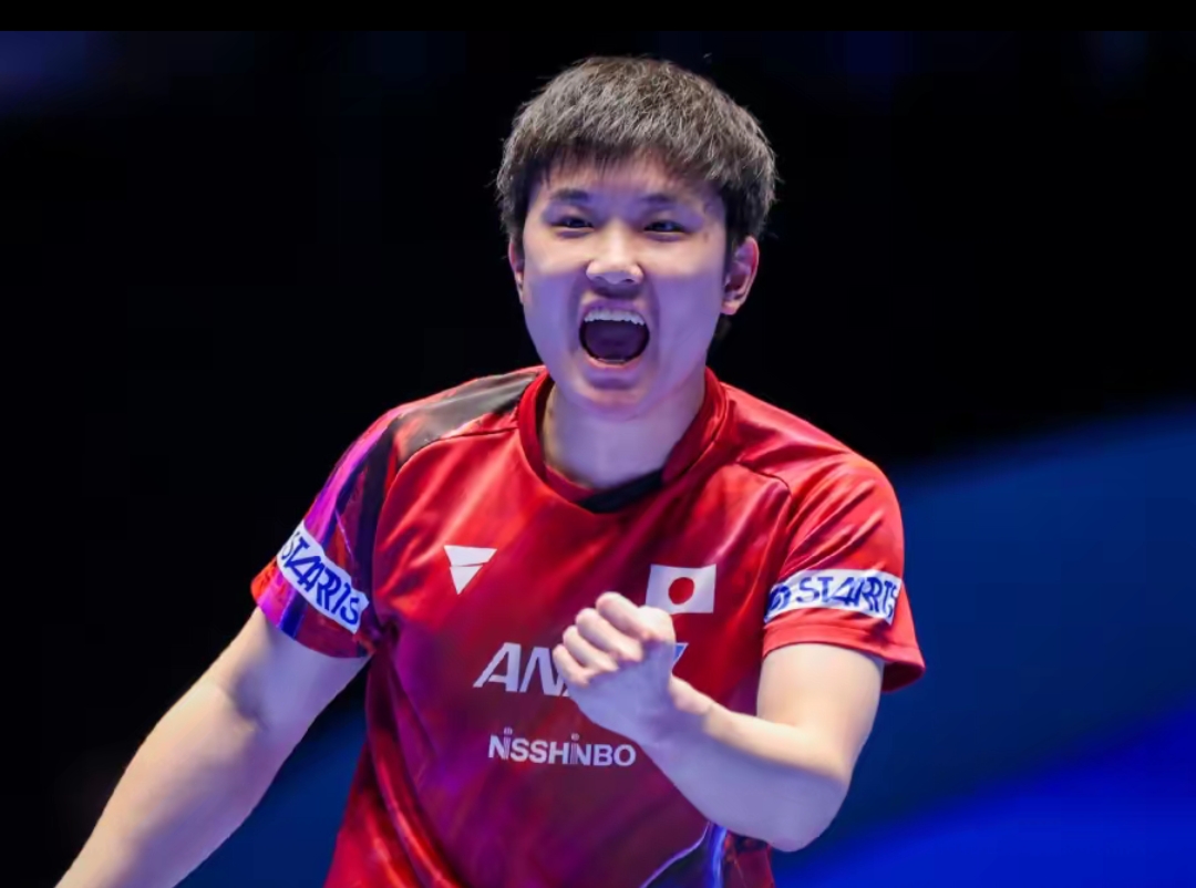 因为无论是 因为无论是